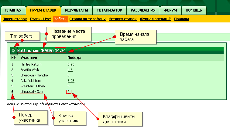 Ставка в букмекерской конторе «Гол+Пас»